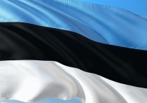 Комитет правительства Эстонии по государственной безопасности предложил временно укрепить часть границы с Россией