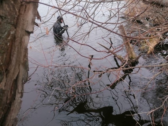 В пруду Щигров водолазы не нашли тело утонувшего человека