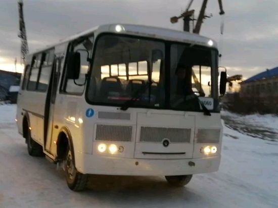 В Николаевск-на-Амуре доставили новые автобусы