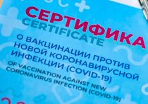 В России с 16 ноября начали выдавать гражданам ковид-сертификаты нового образца