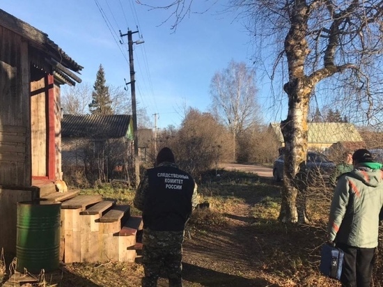Сожительница убила новгородца одним ударом в шею