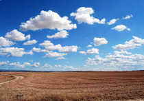 По данным Минагропрома ДНР сельхозпроизводители Республики засеяли озимыми зерновыми культурами 101 730 гектаров земель