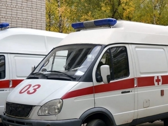 В Хакасии возбудили уголовное дело о причинении смерти 8-летней девочки в больнице