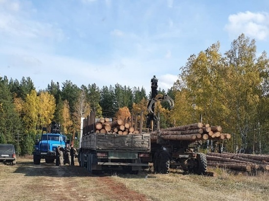 Возбуждено уголовное дело из-за рубки леса на 2 миллиона рублей на Урале