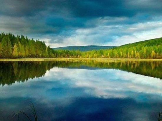 Новый природный заказник появится в Красноярском крае