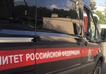 В Белгородской области начали доследственную проверку после появления в Интернете публикации о вспышке в школе региона кишечной инфекции