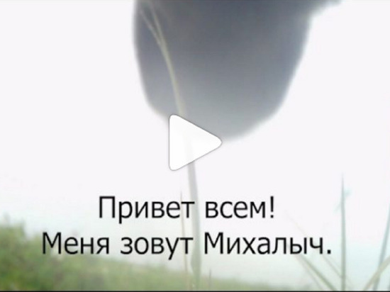 Северянам о своих гастрономических предпочтениях рассказал первый на Ямале блогер-олень Михалыч