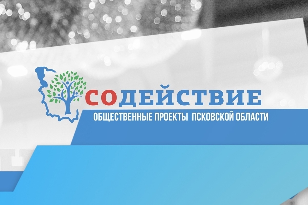 Общественные проекты псковской области