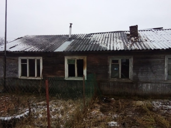 Обугленное тело нашли на пепелище в новгородской деревне