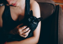 17 ноября отмечаются Международный день студента, Международный день белки и день защиты черных кошек в Италии.