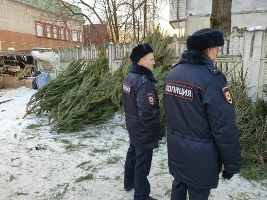 В Удмуртии начались предновогодние рейды для охраны елей
