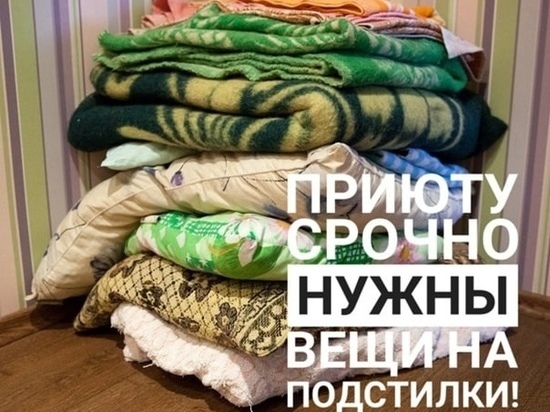 Катастрофическая нехватка: одеяла и покрывала срочно нужны для подстилок животным из приюта Салехарда