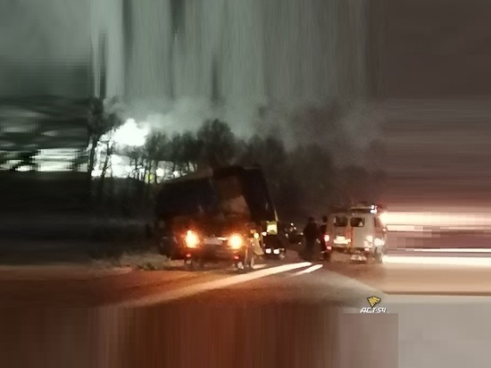 Авария с жертвами в Новосибирской области: столкнулись грузовики и BMW