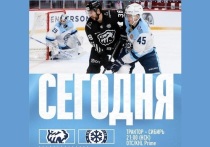Челябинский «Трактор» с 46 очками занимает второе место в Конференции «Восток» Континентальной хоккейной лиги, уступая лидеру, магнитогорскому «Металлургу», всего одно очко.