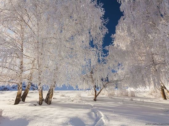 Костромские прогнозы: ближайшие дни будут разными, но зима в целом — умеренной и снежной