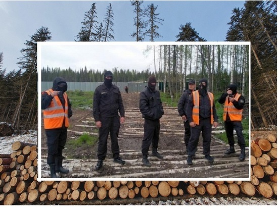 Троим мужикам на службе помойщиков, воспользовавшимся противостоянием, чтобы под шумок валить лес, пришлось раскошелиться