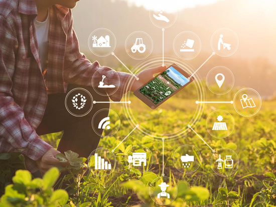 От виртуальной реальности до точного земледелия: РСХБ и «Сколково» ищут инновации для agro и fintech