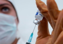 В Марий Эл поступила партия вакцины от коронавирусной инфекции «Спутник Лайт» в количестве 11 150 доз.