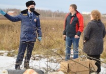 Регулярные рейды по выявлению незаконного сброса мусора на территории бывшей контейнерной площадки по адресу ул