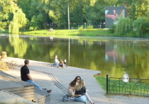На реке Везелке в Белгороде планируют установить плавающий арт-объект с растениями и подсветкой