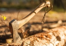 58-летний мужчина трагически погиб при заготовке дров в Орехово-Зуевском городском округе, вблизи деревни Смолево