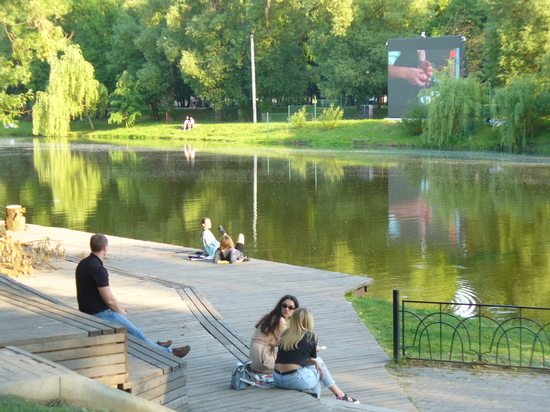 Реку Везелку в Белгороде украсит конструкция с растениями и подсветкой