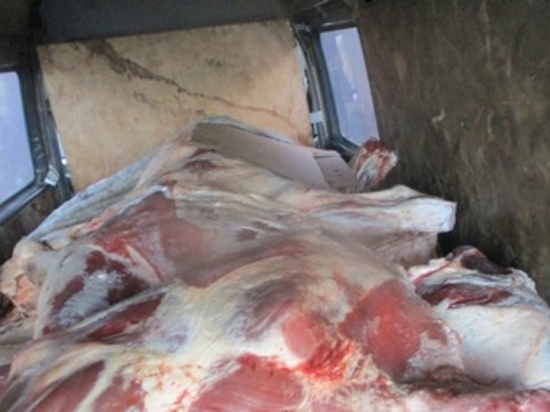 3 тонны небезопасной белорусской говядины не пропустили в Псковскую область