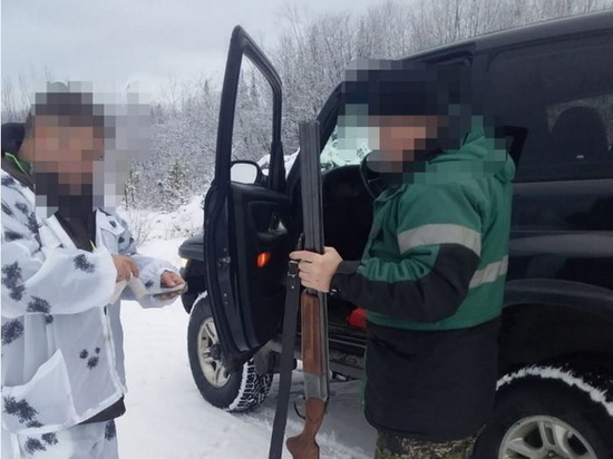 Жители Мурманской области в ноябре 20 раз нарушили правила охоты