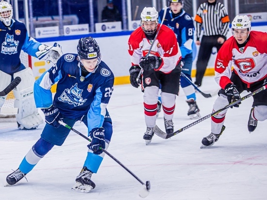 Новосибирским хоккеистам 17 ноября не хватило одной шайбы до победы