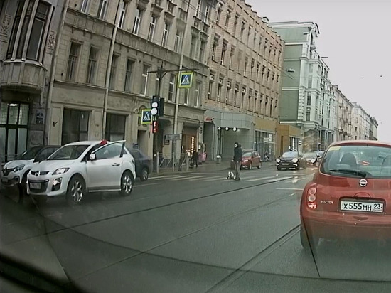 В Петербурге водитель Mazda переехал лапы собаке