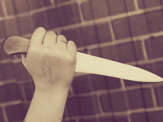 В Плавском районе осудили женщину, ударившую супруга ножом