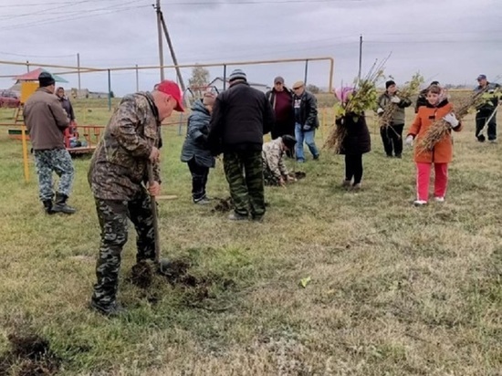 В Белгородской области высадили более 300 тысяч саженцев деревьев