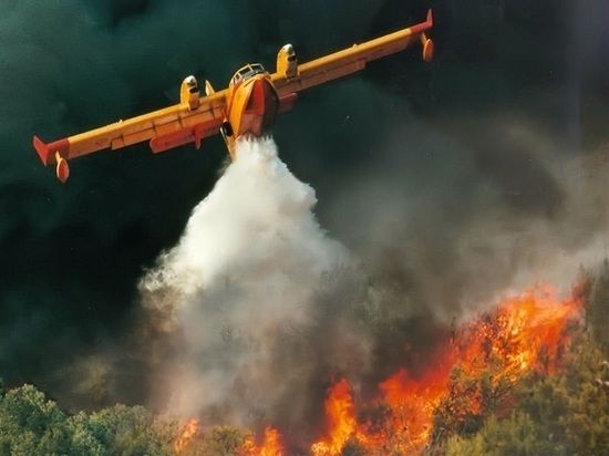 В бюджет Мурманской области на следующий год заложены средства на покупку воздушных судов для тушения лесных пожаров