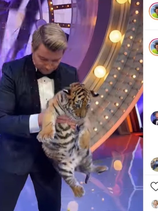 В Госдуме возмущены съемками тигренка в новогоднем шоу