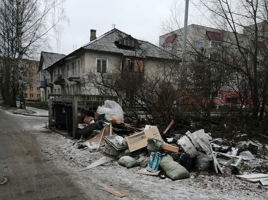  Мусор на контейнерной площадке в Петрозаводске подступает к проезжей части