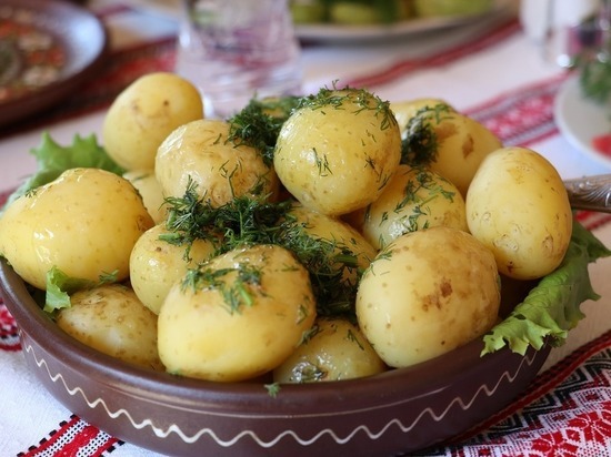 Россиян предупредили о возможной нехватке картофеля из-за плохого урожая