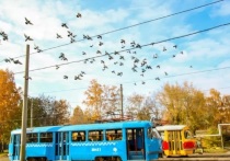Барнаулу не компенсируют затраты в размере 3,4 млн рублей за доставку в Бийск «собянинских трамваев»