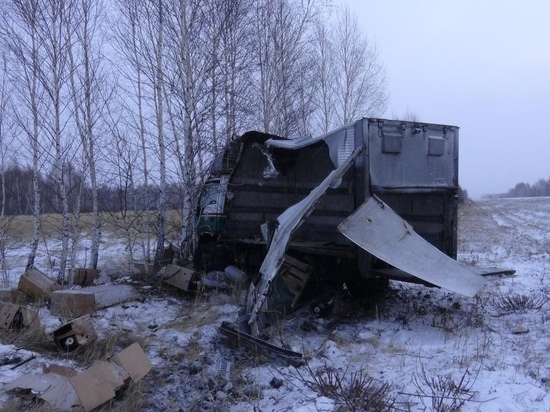 Водитель «Газели» из Челябинской области погиб в ДТП в Зауралье