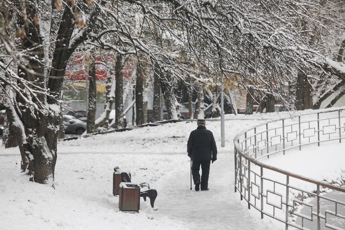 В москве ожидается снегопад. Конец ноября в Москве фото. Снегопад. Снегопад в Москве. Зима в России настоящая.