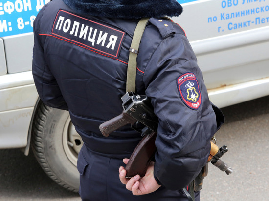 МВД проверит полицейских, которые «грубо» задержали 14-летнюю петербурженку