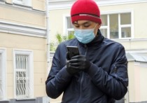 В России готовится распоряжение, согласно котором уже с 29 декабря всем трудовым мигрантам и иностранным гражданам, прибывающим в нашу страну на срок более 90 дней, могут понадобиться документы об отсутствии наркозависимости и ВИЧ-инфекции