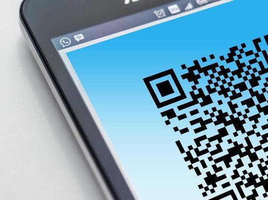 Содержание петиции за отмену в Кузбассе QR-кодов значительно изменилось