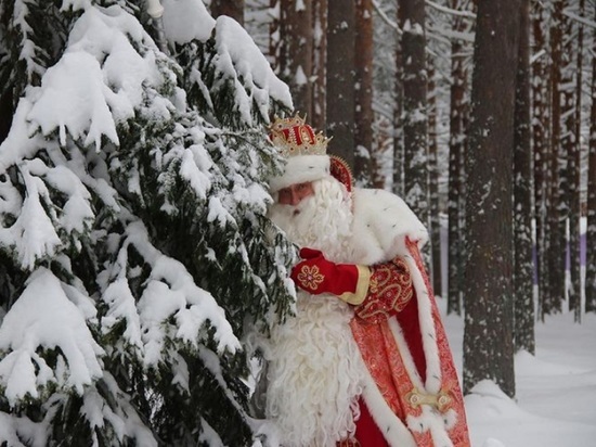 Костромичи и вологодцы отметили день рождения Деда Мороза