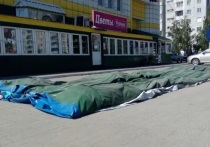 История с взлетевшим на трамвайные пути батутом в Барнауле в мае этого года вызвала серьезный общественный резонанс
