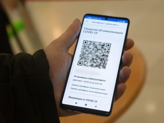 Систему QR-кодов могут расширить в Красноярском крае