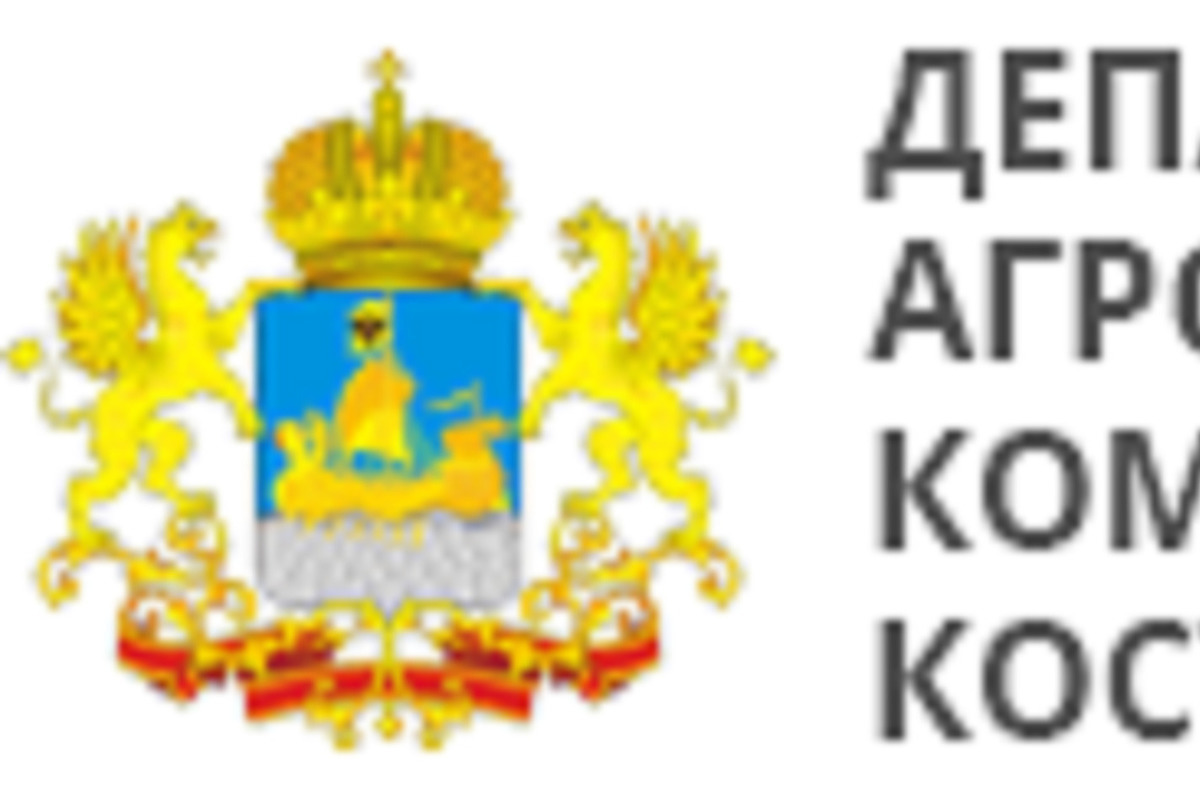 Костромской департамент АПК призывает граждан отказаться от свиней в пользу овец и кроликов
