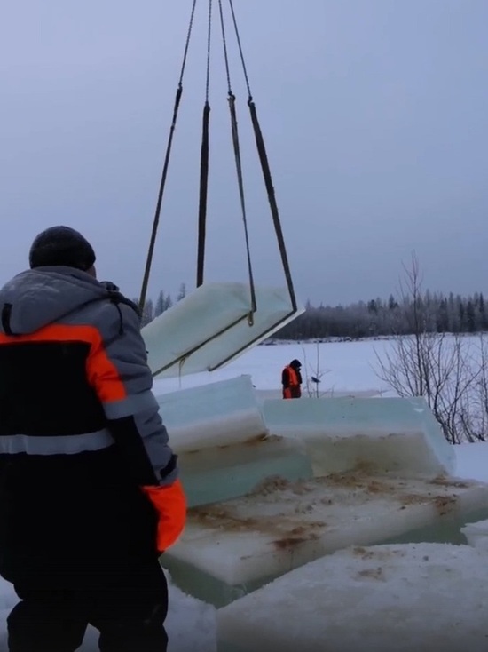 Конкурс ледовых скульптур впервые пройдет в Тарко-Сале