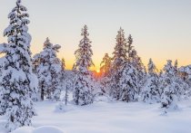 Морозная погода ожидается в Забайкальском крае 20, 21 и 22 ноября – при прояснении столбики термометров опустятся до 29-31 градуса ниже ноля, сообщается на сайте регионального управления по гидрометеорологии и мониторингу окружающей среды