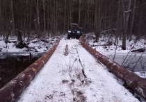 В лесах на территории заповедника «Большая Кокшага» отремонтированы три моста.