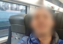 Стали известны подробности стрельбы в поезде «Москва – Адлер», которую устроил 43-летний житель Ставропольского края
